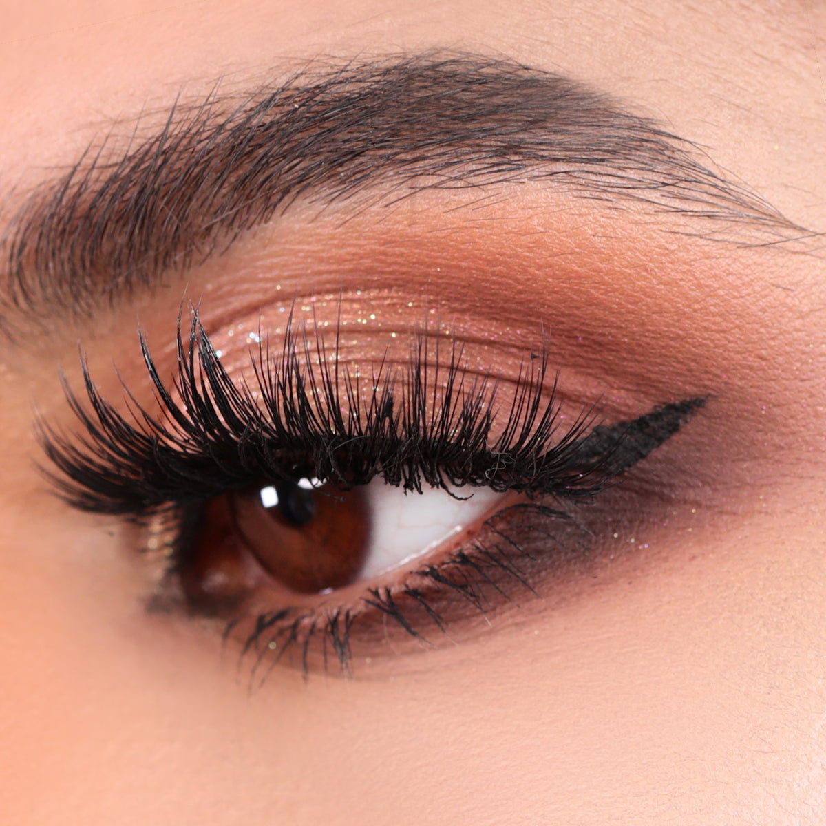 اتش دي- امافي ايشادو باليت