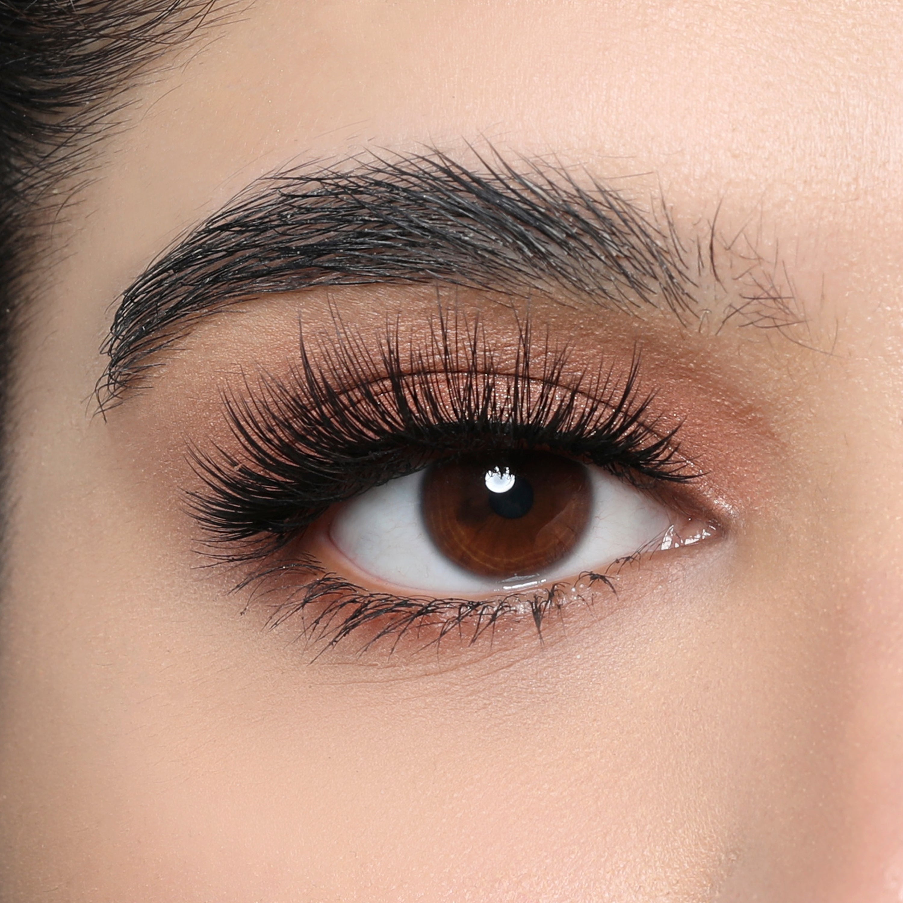 بيا فيجان لاش