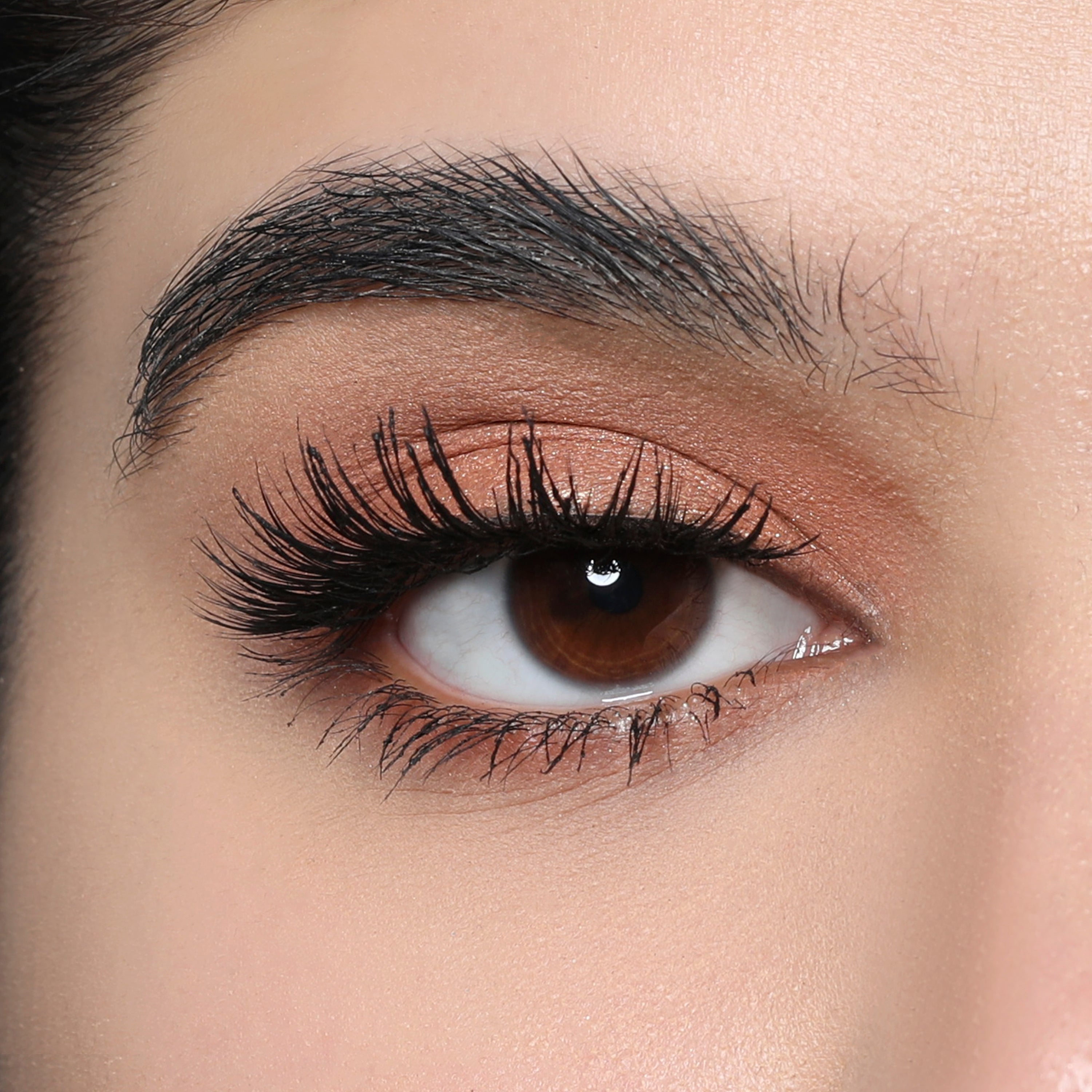 اتش دي- فيغان لاشز ابليثيا