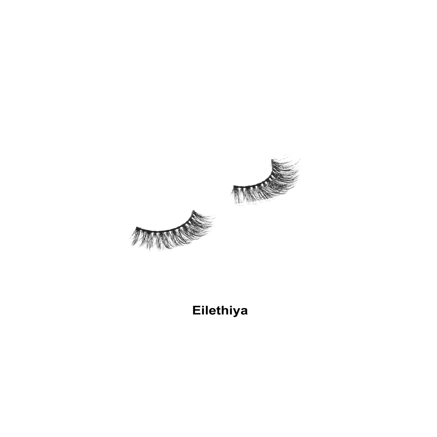 اتش دي- فيغان لاشز ابليثيا