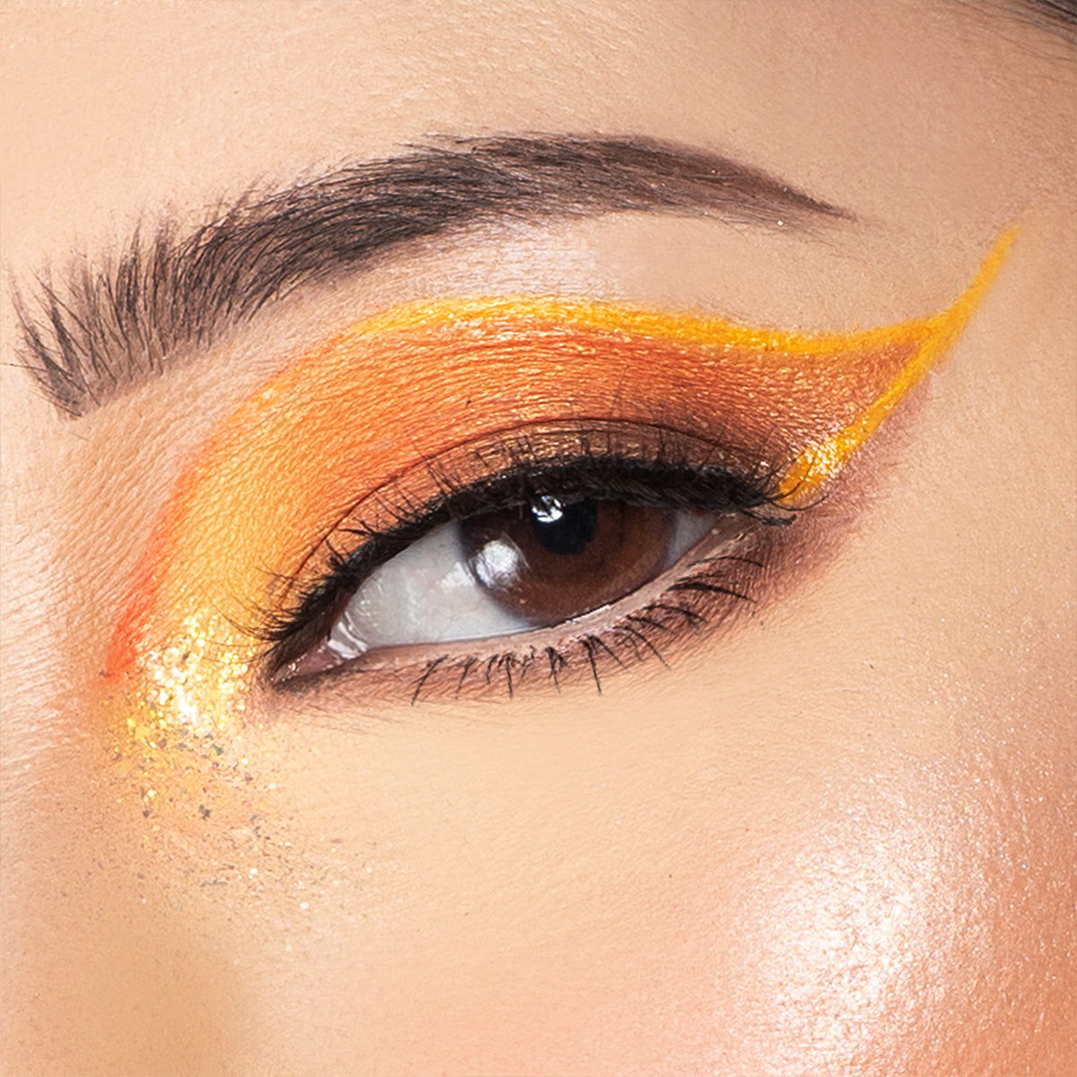 داي كولكشن 2