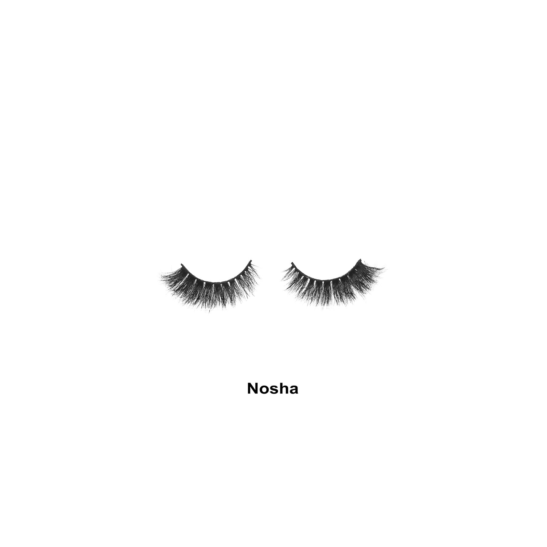 اتش دي- نوشا لاشز