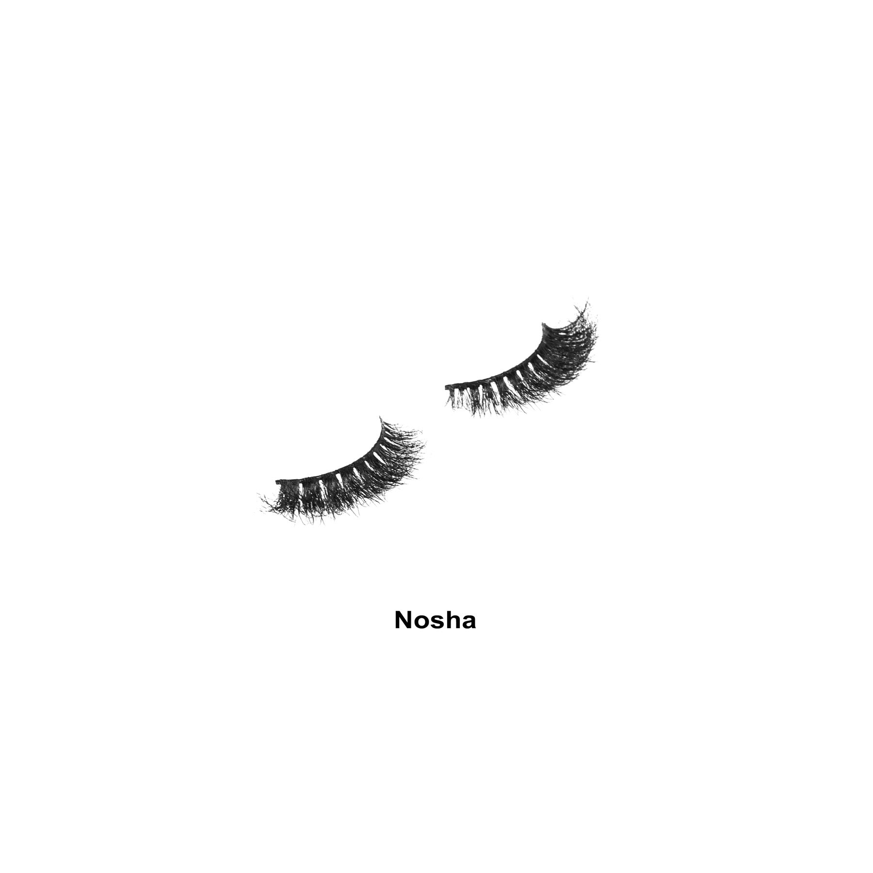 اتش دي- نوشا لاشز