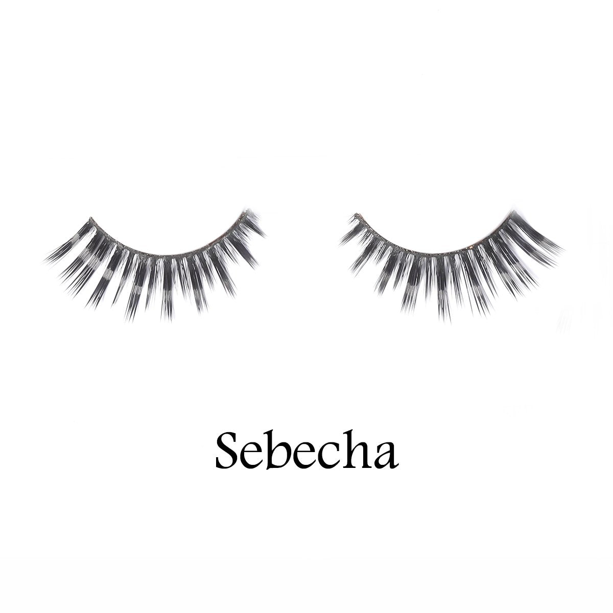 sebecha