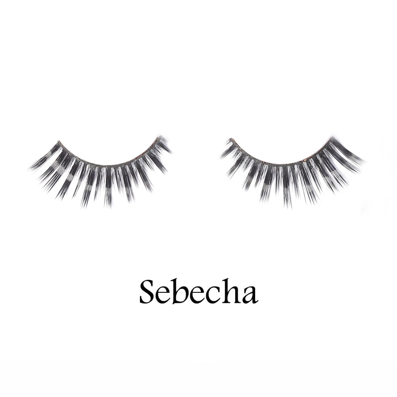 Sebecha