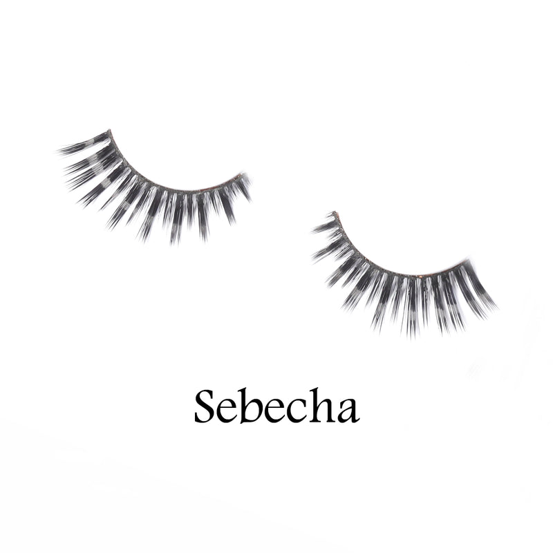 Sebecha
